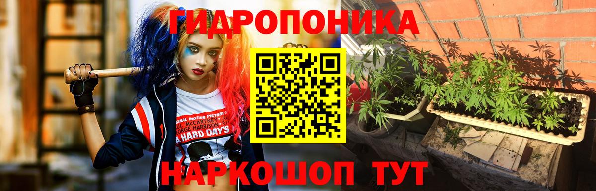 Конопля VHQ Кандалакша